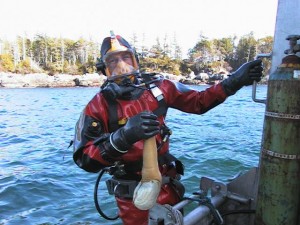Geoduck Diving Rick Biggar